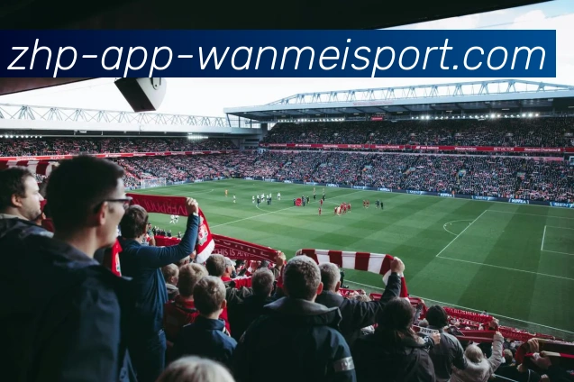 App Interface Preview