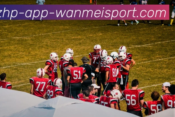 完美体育APP 封面图